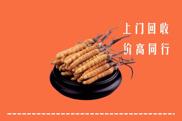 高价求购：周口市扶沟回收散虫草