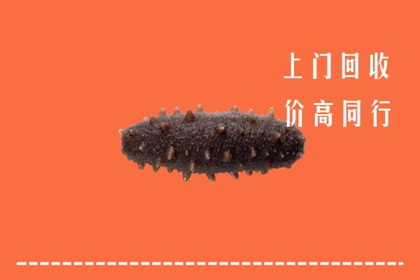 周口市扶沟回收海参