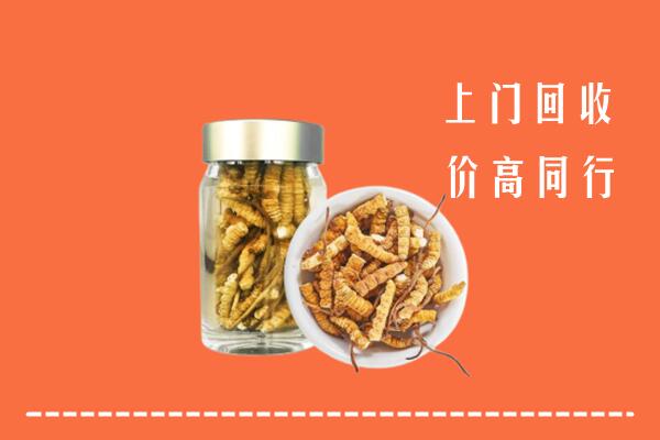 周口市扶沟回收冬虫夏草
