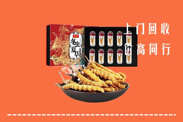周口市扶沟回收虫草